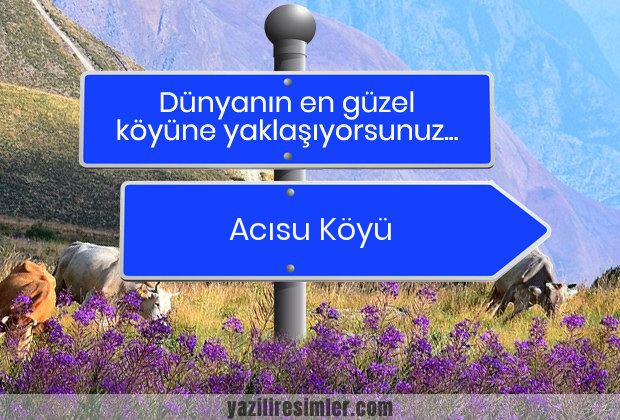 Acısu Köyü