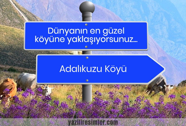 Adalıkuzu Köyü