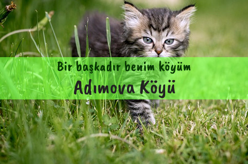 Adımova Köyü