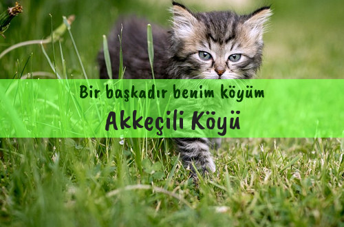 Akkeçili Köyü