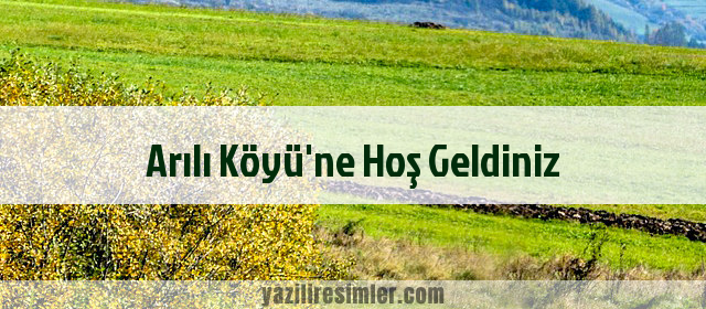 Arılı Köyü'ne Hoş Geldiniz