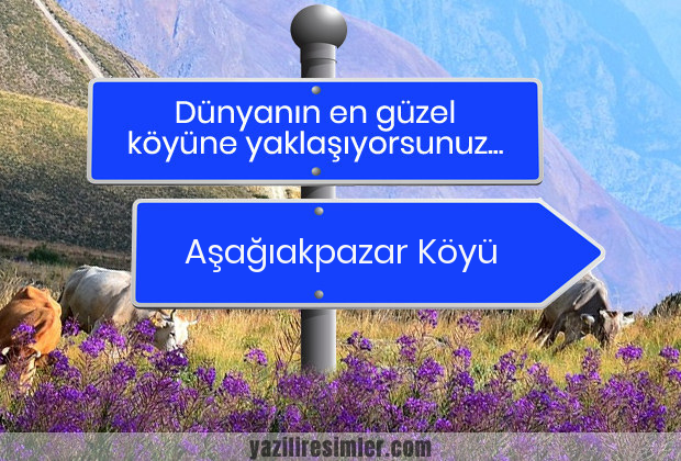 Aşağıakpazar Köyü