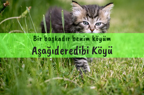 Aşağıderedibi Köyü