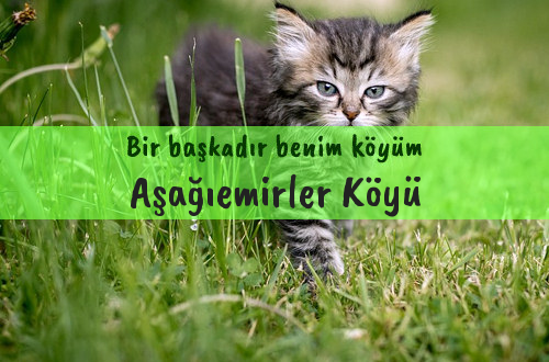 Aşağıemirler Köyü