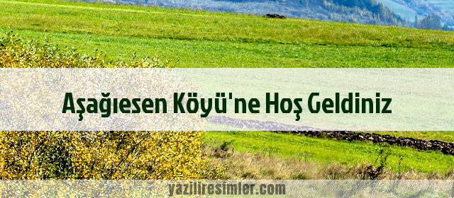 Aşağıesen Köyü'ne Hoş Geldiniz