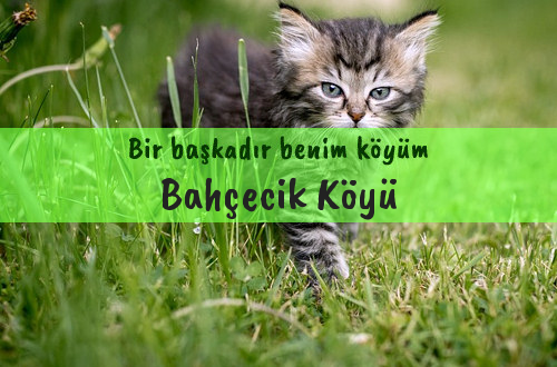 Bahçecik Köyü