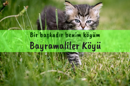 Bayramaliler Köyü