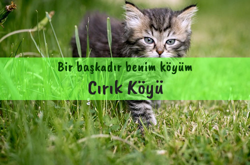 Cırık Köyü