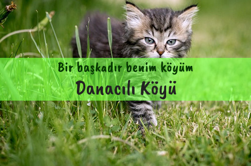 Danacılı Köyü