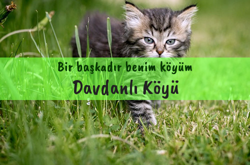 Davdanlı Köyü