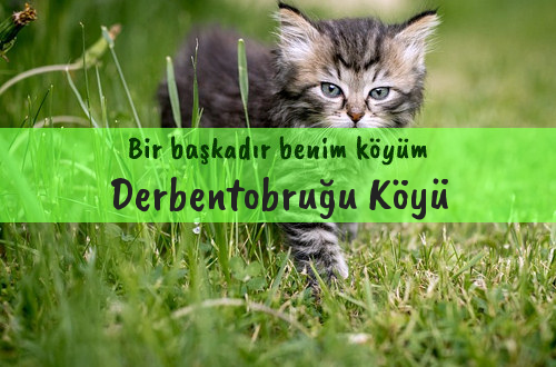 Derbentobruğu Köyü