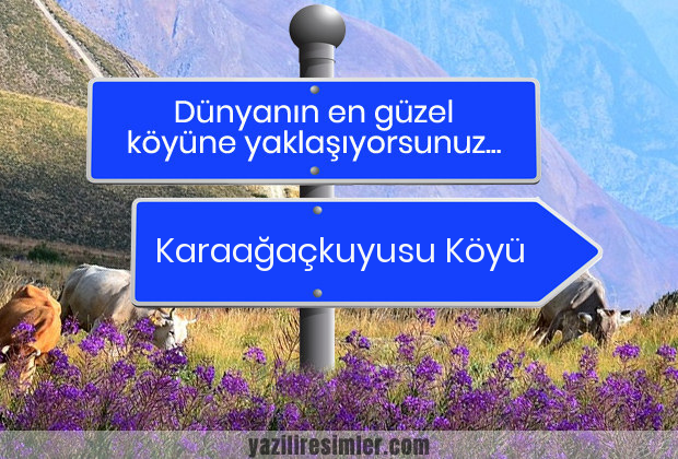 Karaağaçkuyusu Köyü