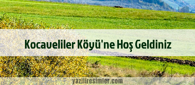 Kocaveliler Köyü'ne Hoş Geldiniz