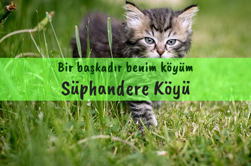 Süphandere Köyü