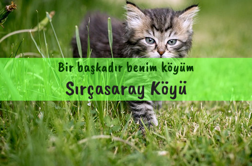 Sırçasaray Köyü