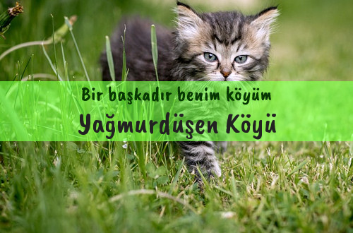 Yağmurdüşen Köyü