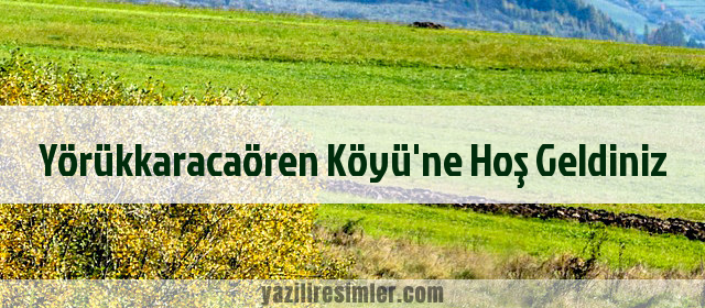 Yörükkaracaören Köyü'ne Hoş Geldiniz