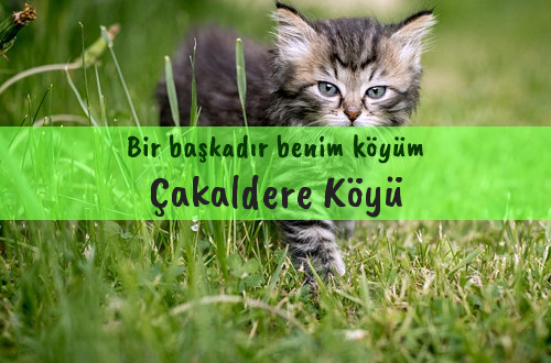 Çakaldere Köyü