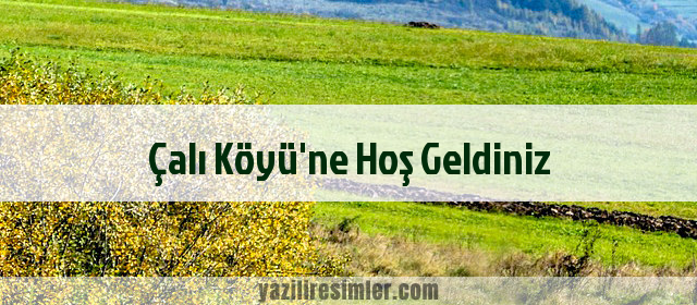 Çalı Köyü'ne Hoş Geldiniz