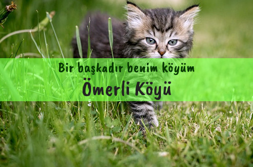 Ömerli Köyü