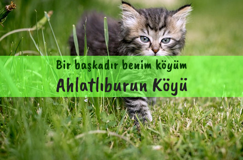 Ahlatlıburun Köyü