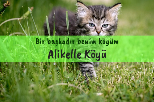 Alikelle Köyü