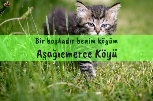 Aşağıemerce Köyü