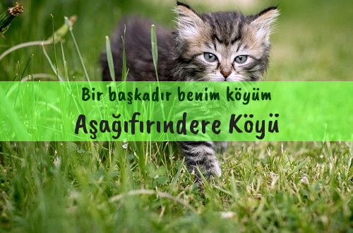 Aşağıfırındere Köyü