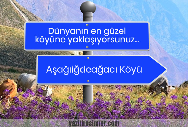 Aşağıiğdeağacı Köyü