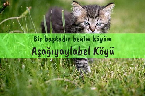 Aşağıyaylabel Köyü