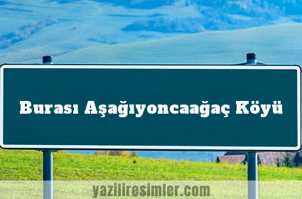 Burası Aşağıyoncaağaç Köyü