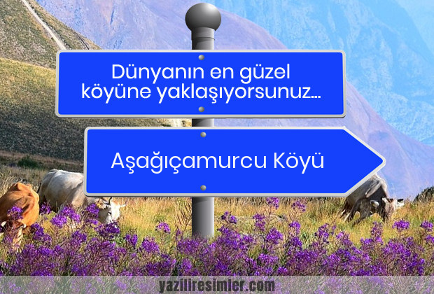 Aşağıçamurcu Köyü