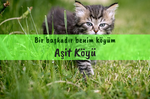 Aşit Köyü