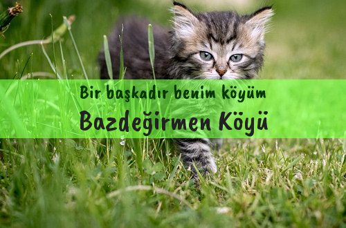 Bazdeğirmen Köyü