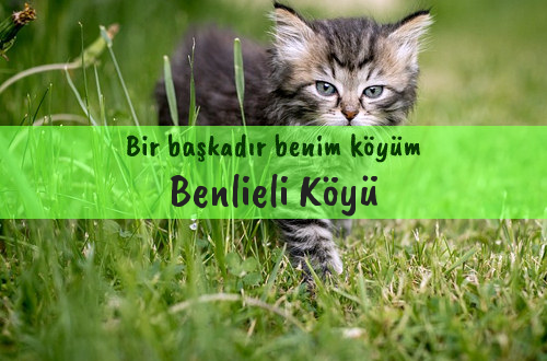 Benlieli Köyü