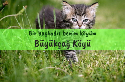 Büyükçağ Köyü