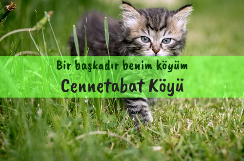 Cennetabat Köyü