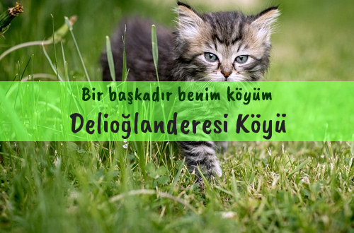 Delioğlanderesi Köyü