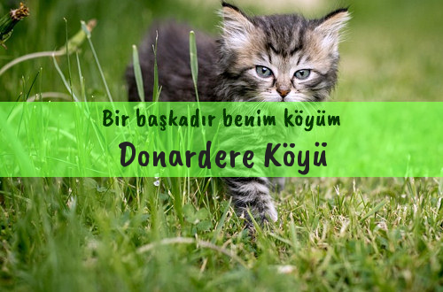 Donardere Köyü