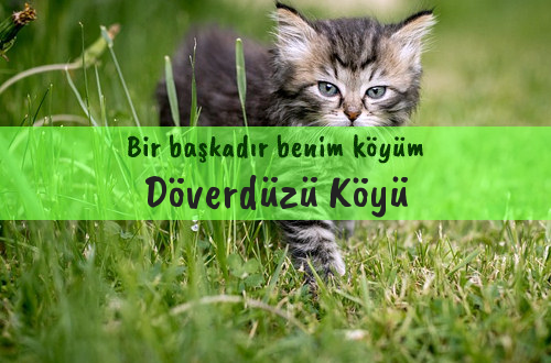 Döverdüzü Köyü