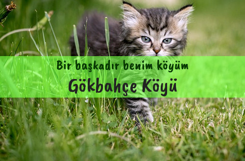 Gökbahçe Köyü