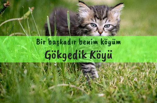 Gökgedik Köyü