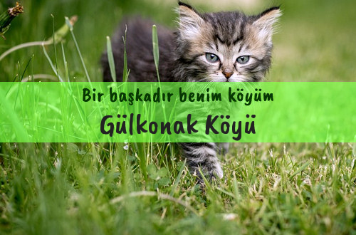 Gülkonak Köyü