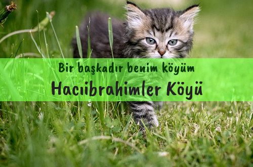 Hacıibrahimler Köyü