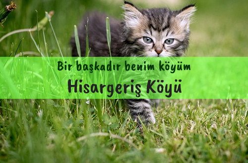 Hisargeriş Köyü