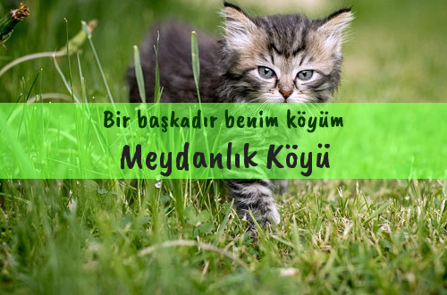 Meydanlık Köyü