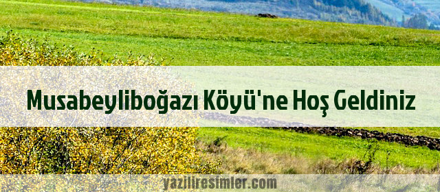 Musabeyliboğazı Köyü'ne Hoş Geldiniz