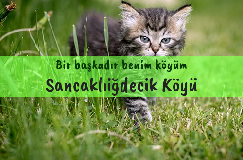 Sancaklıiğdecik Köyü