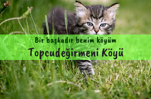 Topcudeğirmeni Köyü