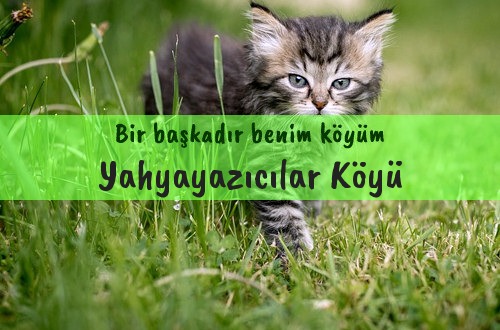 Yahyayazıcılar Köyü